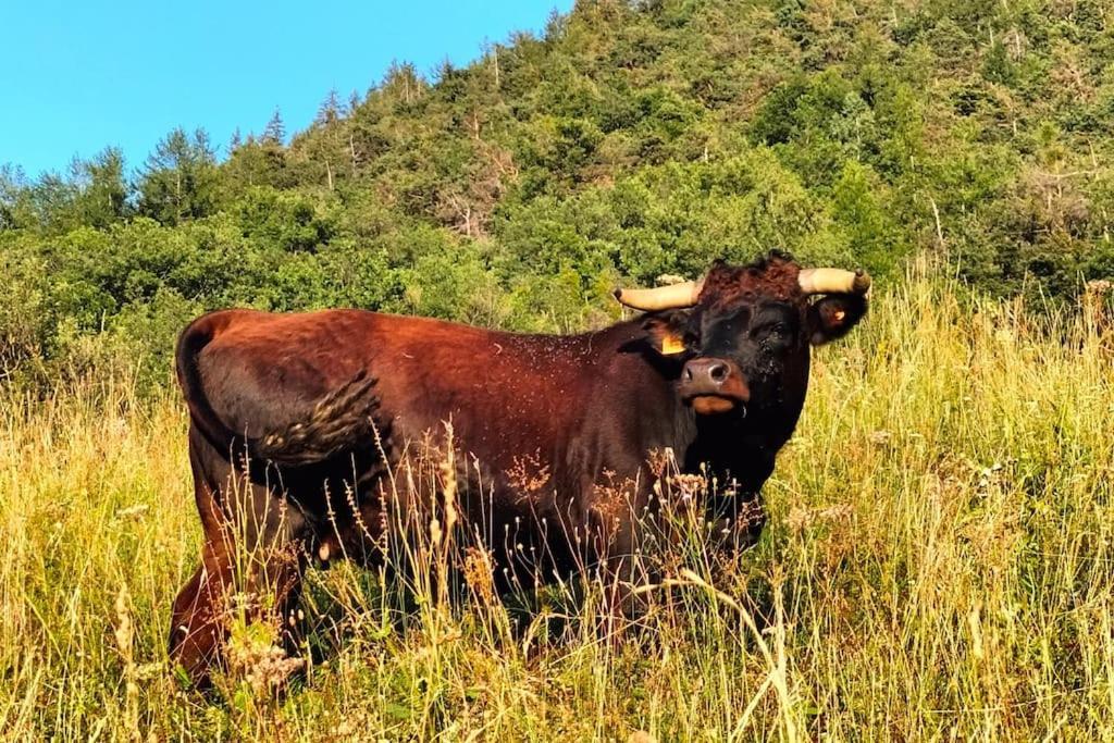 Appartamento Di Montagna Lo Grop Chambave Eksteriør billede